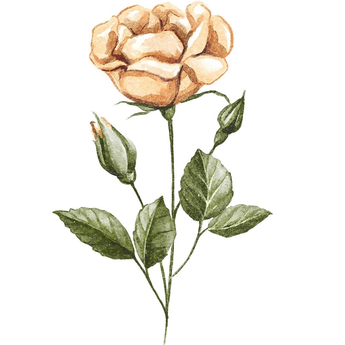 product-details