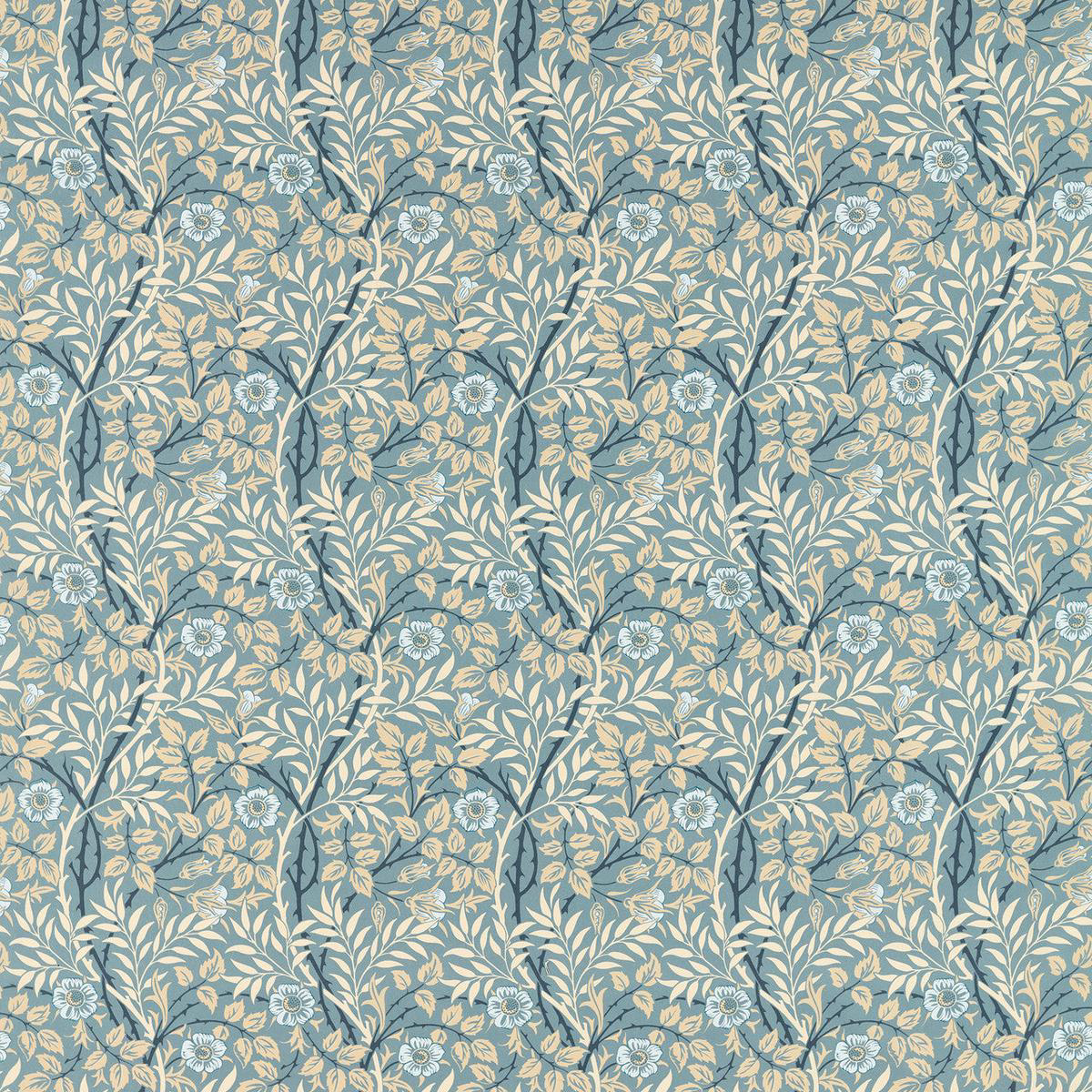 product-details