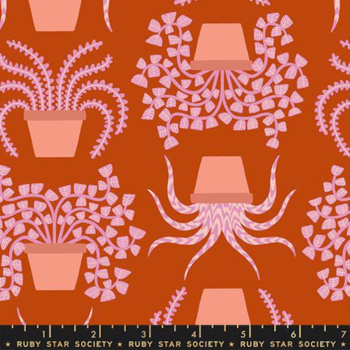 product-details