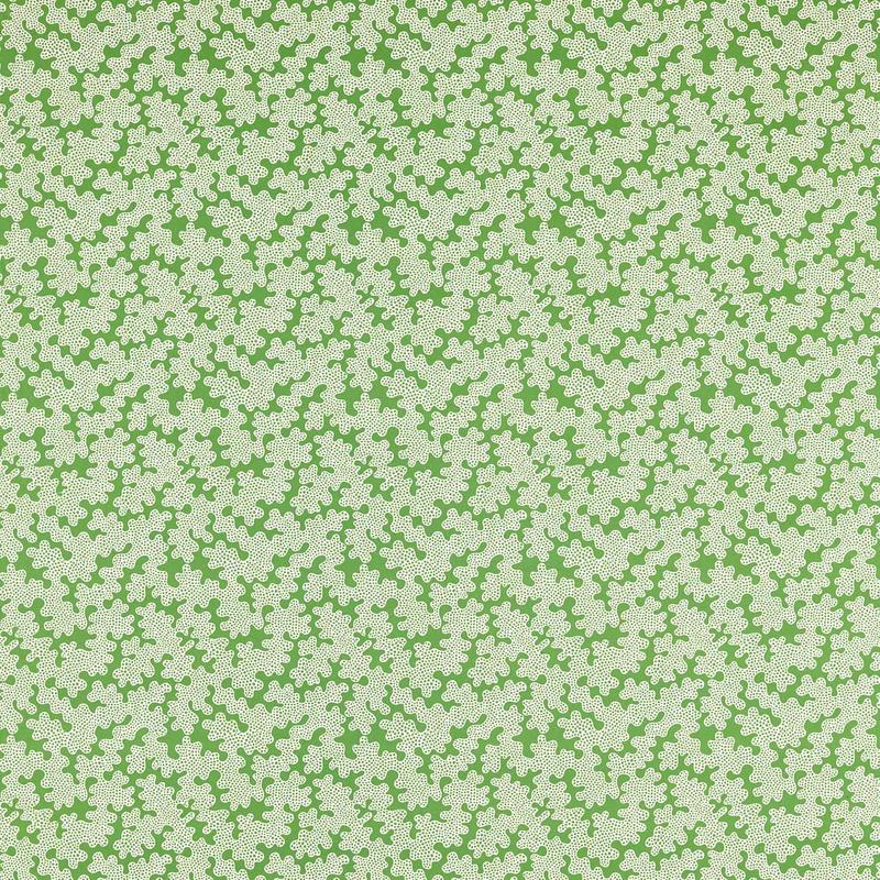 Zori Fabric