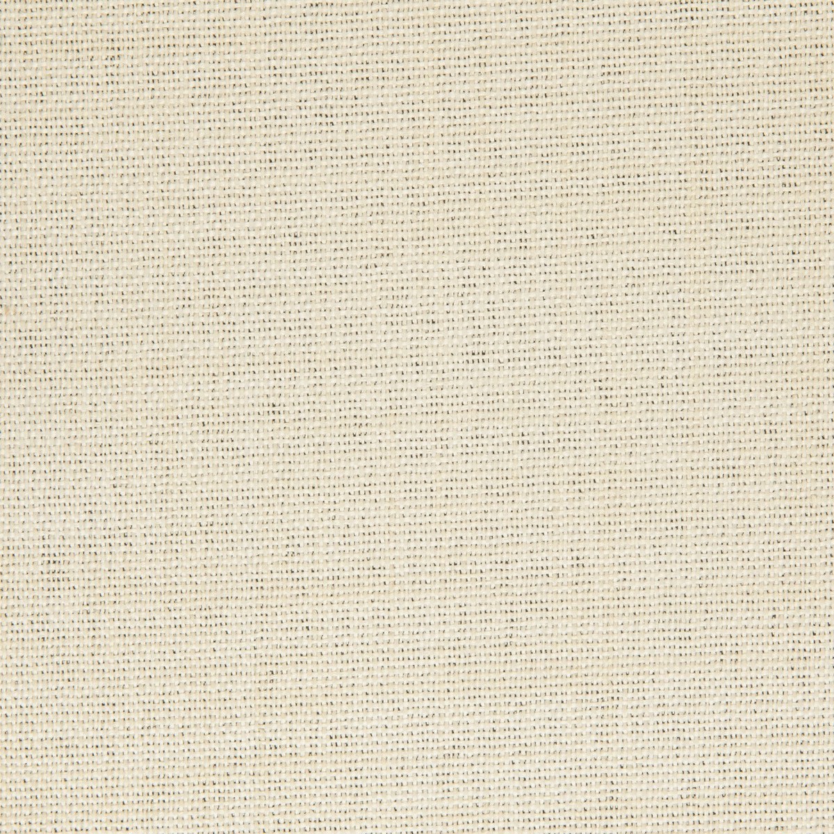 Edmund Bell Enigma Angora 148cm