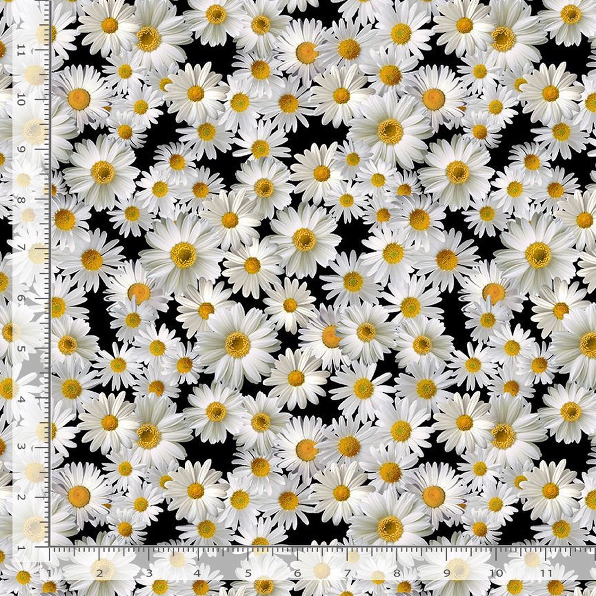 Advice From A Sunflower Blooming Packed Daisies Black Timeless Treasures Cotton Fabric TT-FLEUR-CD2926-BLACK 1/2