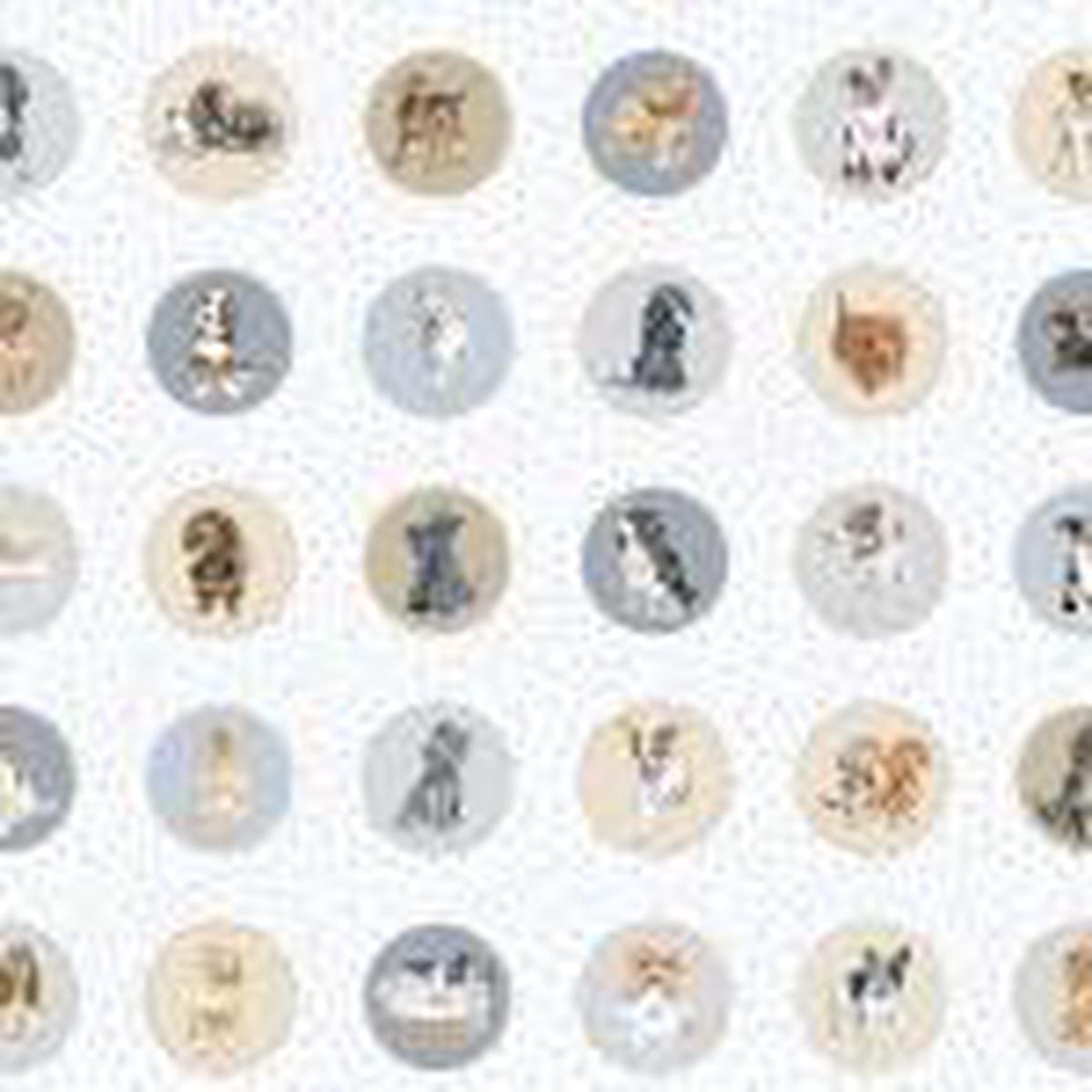 Maywood Studios Whiskers & Paws, 10413M-Z, Multi,
