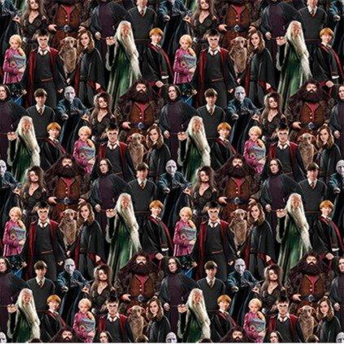 Benartex, Harry Potter Characters 108", 15226W-99, Multi