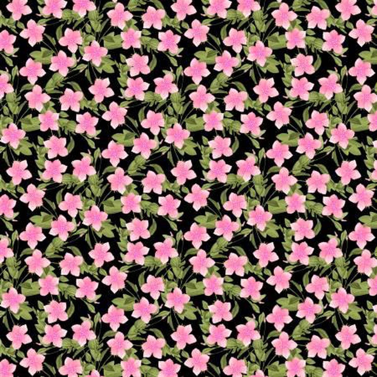 Wilmington, In Bloom, 1665-33884-937