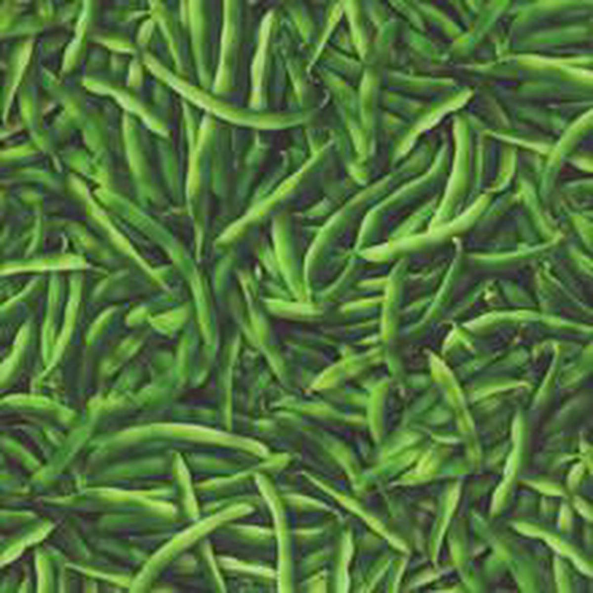 Windham Fabrics A La Carte, 55405D-1, Fresh Green,