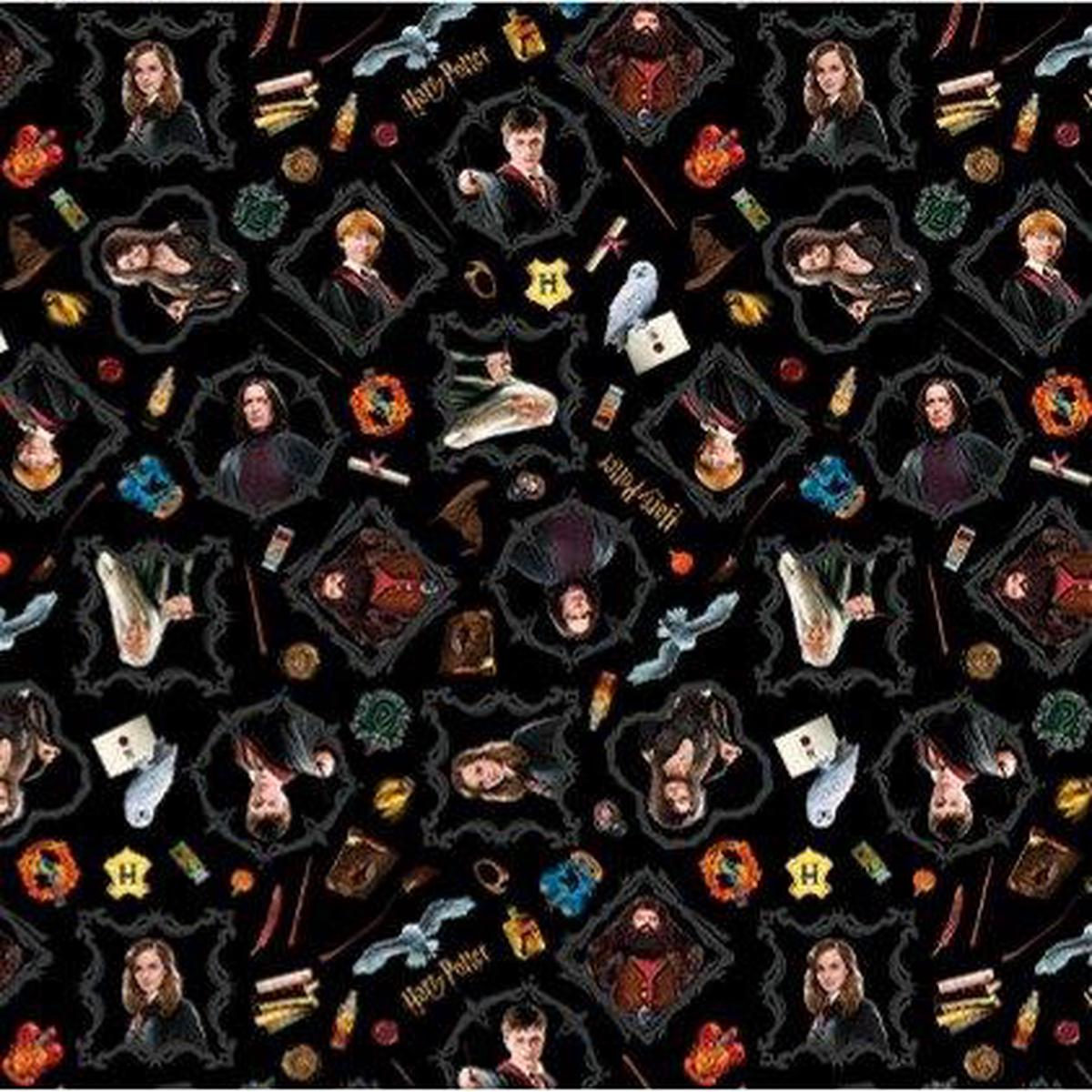 Benartex, Harry Potter Magic 108", 15220W-12, Black